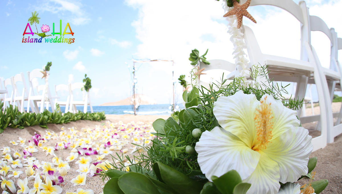 wooden arch in the distance with hawaiian green fern and star fish